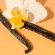 بالم لب برتس بیز مدل vanilla bean 