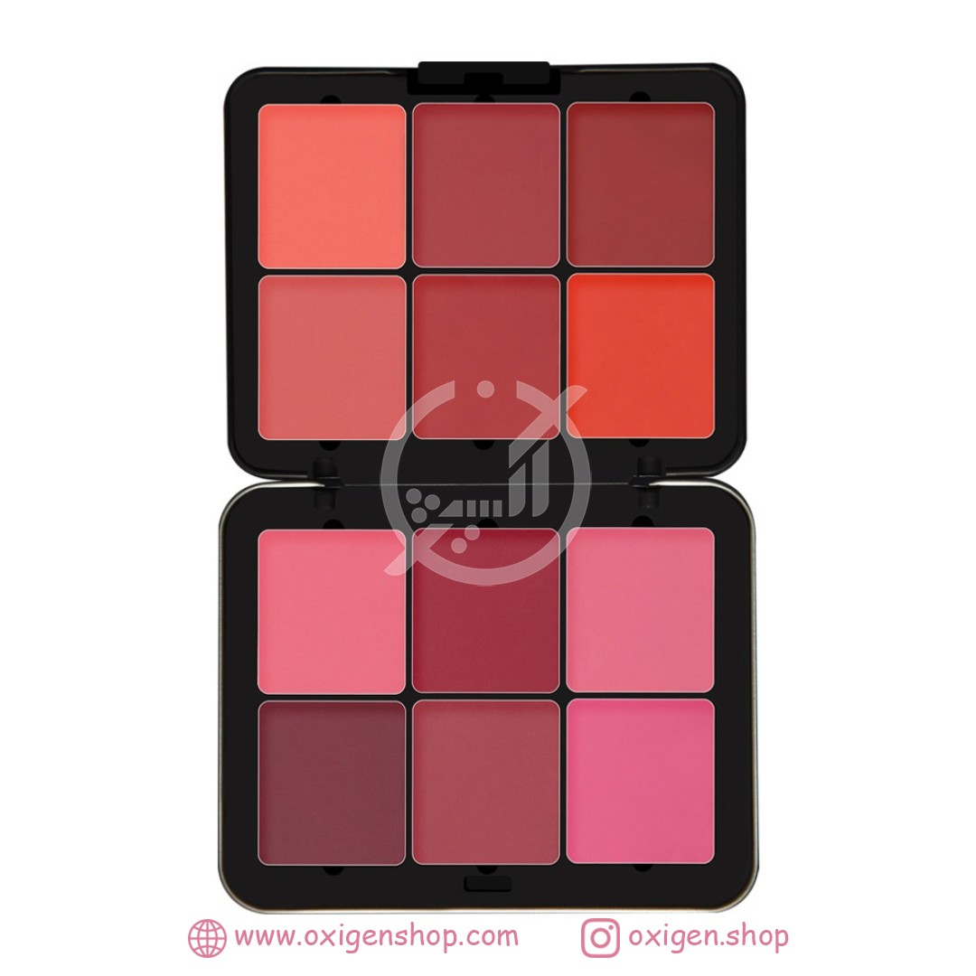 پالت رژگونه خشک فیوچر میکاپ رنگ FU104