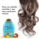 شامپو او جی ایکس Argan Oil