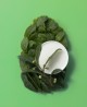 شامپو او جی ایکس Teatree