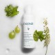 فوم شوینده صورت کدلی مدل Vinoclean