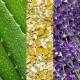 اسپری آبرسان ماریو بادسکو مدل aloe chamomile and lavender