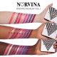 ست مینی سایه آناستازیا مدل Mini NORVINA Pro Pigment