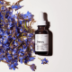 روغن آبرسان اوردینری مدل Borage Seed Oil