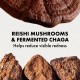 سرم تسکین دهنده اورجینز مدل MEGA MUSHROOM