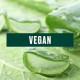 تونر تسکین دهنده بادی شاپ مدل aloe