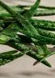 تونر تسکین دهنده بادی شاپ مدل aloe