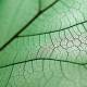 ژل ضد ترک لیراک مدل Phytolastil