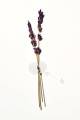 عطر مو و بدن ویکتوریا سکرت مدل lavender