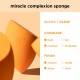 اسفنج آرایشی ریل تکنیک مدل Miracle Complexion
