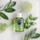 دهان‌ شویه مارویس مدل Spearmint